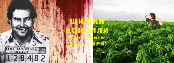 стаф Лихославль
