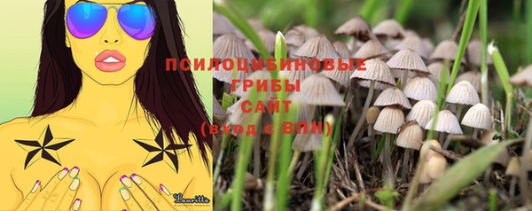 стаф Лихославль