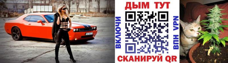 Купить закладки  Зеленогорск  Канабис сатива 
